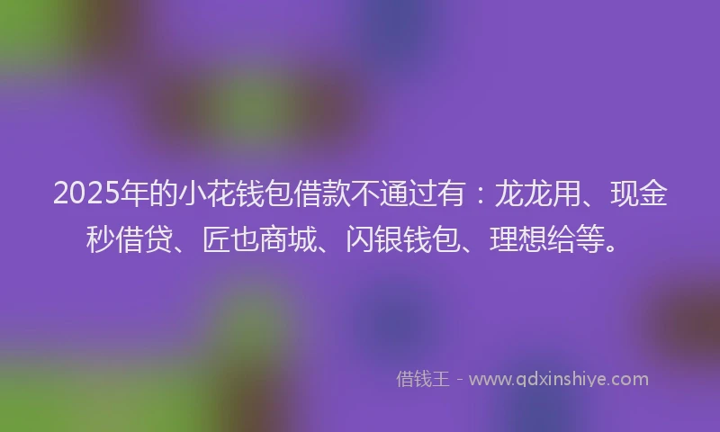 2025年的小花钱包借款不通过有：龙龙用、现金秒借贷、匠也商城、闪银钱包、理想给等。