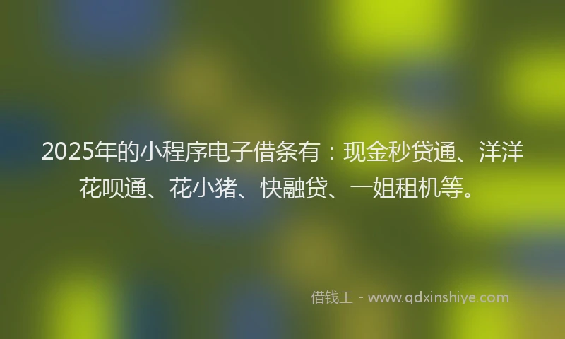 2025年的小程序电子借条有：现金秒贷通、洋洋花呗通、花小猪、快融贷、一姐租机等。