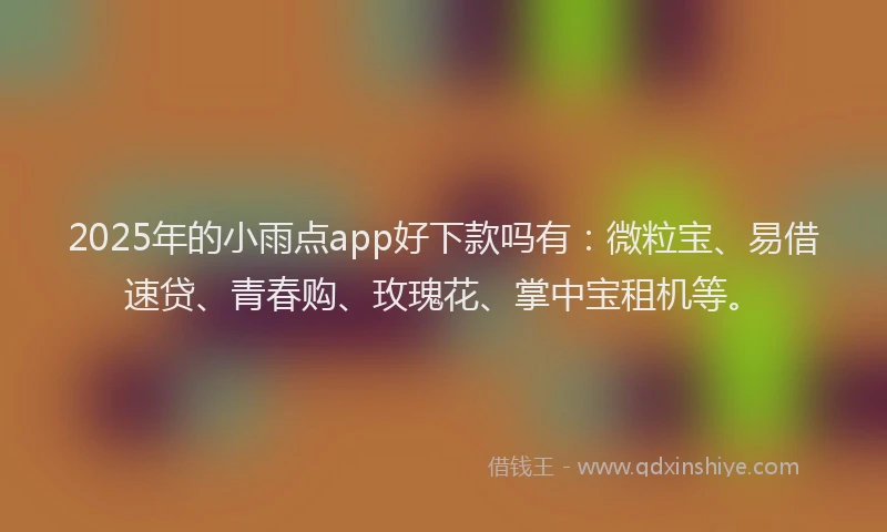 2025年的小雨点app好下款吗有：微粒宝、易借速贷、青春购、玫瑰花、掌中宝租机等。