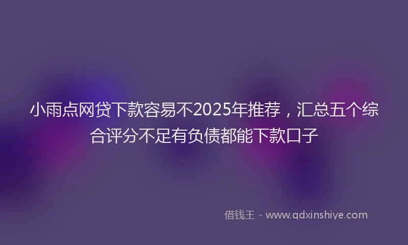 小雨点网贷下款容易不2025年推荐，汇总五个综合评分不足有负债都能下款口子
