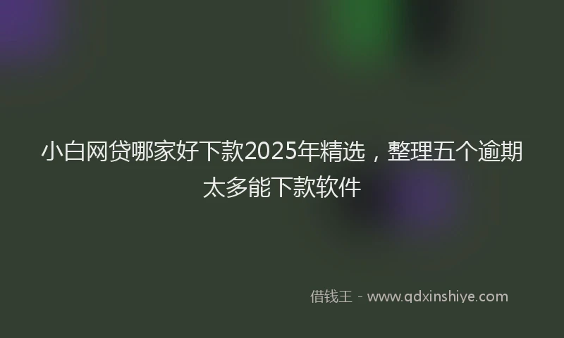 小白网贷哪家好下款2025年精选，整理五个逾期太多能下款软件