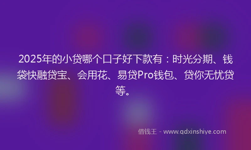 2025年的小贷哪个口子好下款有：时光分期、钱袋快融贷宝、会用花、易贷Pro钱包、贷你无忧贷等。