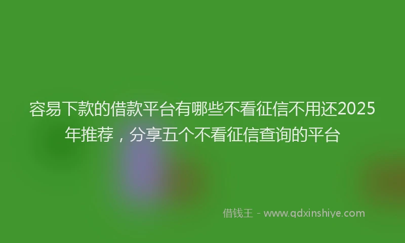 容易下款的借款平台有哪些不看征信不用还2025年推荐，分享五个不看征信查询的平台