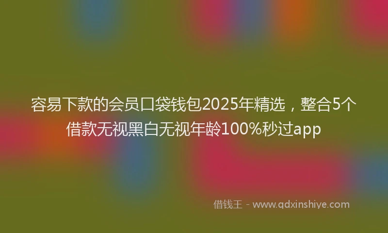 容易下款的会员口袋钱包2025年精选，整合5个借款无视黑白无视年龄100%秒过app