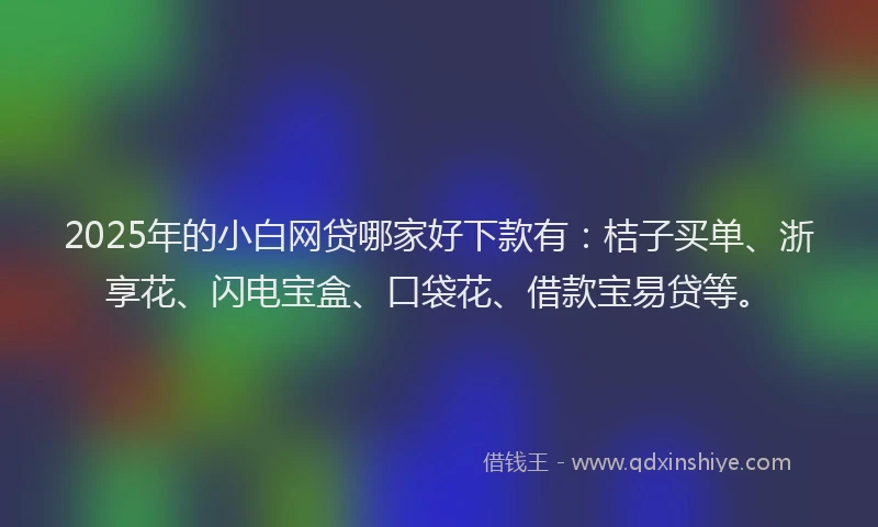 2025年的小白网贷哪家好下款有：桔子买单、浙享花、闪电宝盒、口袋花、借款宝易贷等。