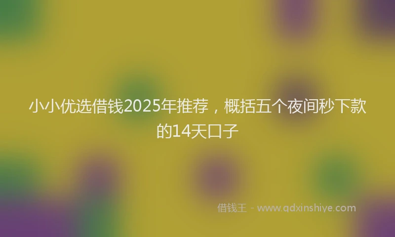 小小优选借钱2025年推荐，概括五个夜间秒下款的14天口子