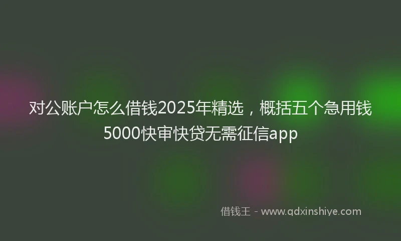 对公账户怎么借钱2025年精选，概括五个急用钱5000快审快贷无需征信app