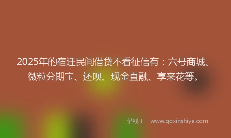 2025年的宿迁民间借贷不看征信有：六号商城、微粒分期宝、还呗、现金直融、享来花等。