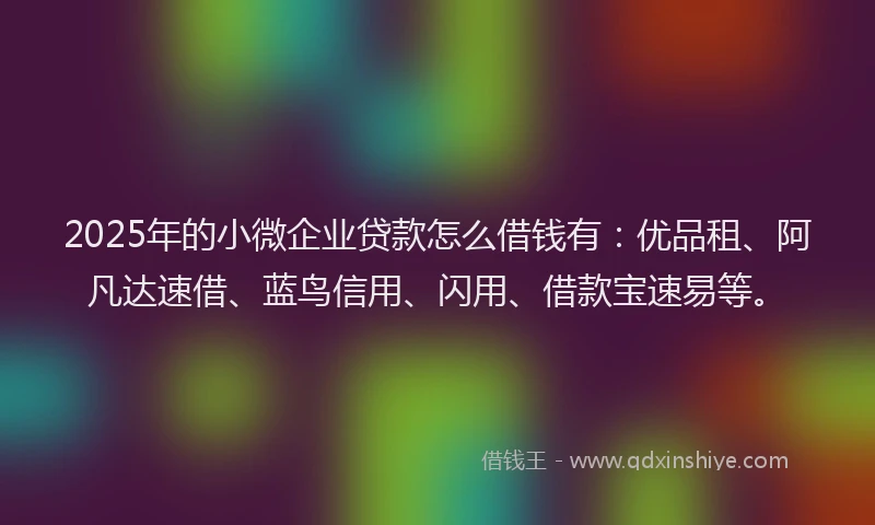 2025年的小微企业贷款怎么借钱有：优品租、阿凡达速借、蓝鸟信用、闪用、借款宝速易等。
