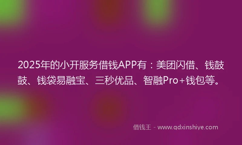 2025年的小开服务借钱APP有：美团闪借、钱鼓鼓、钱袋易融宝、三秒优品、智融Pro+钱包等。