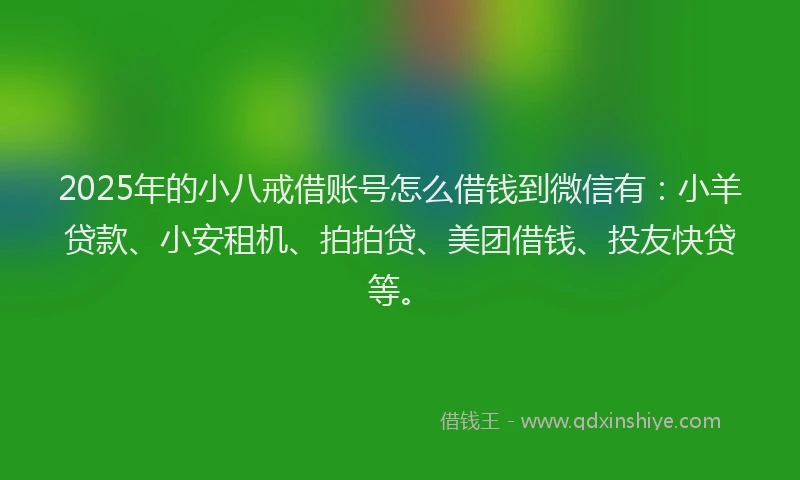 2025年的小八戒借账号怎么借钱到微信有：小羊贷款、小安租机、拍拍贷、美团借钱、投友快贷等。