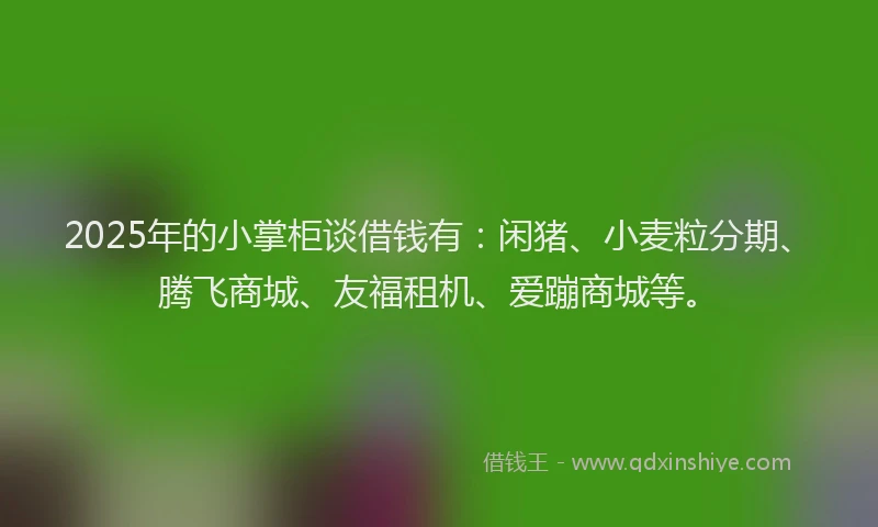 2025年的小掌柜谈借钱有：闲猪、小麦粒分期、腾飞商城、友福租机、爱蹦商城等。