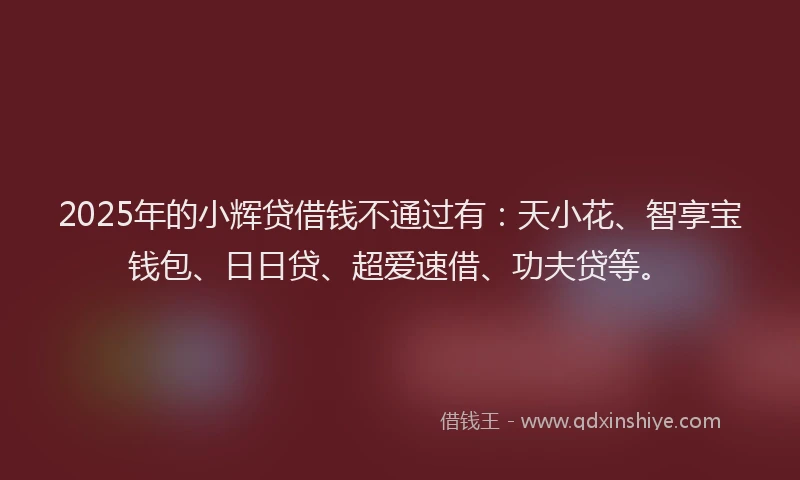 2025年的小辉贷借钱不通过有：天小花、智享宝钱包、日日贷、超爱速借、功夫贷等。
