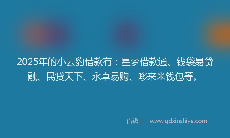 2025年的小云豹借款有：星梦借款通、钱袋易贷融、民贷天下、永卓易购、哆来米钱包等。