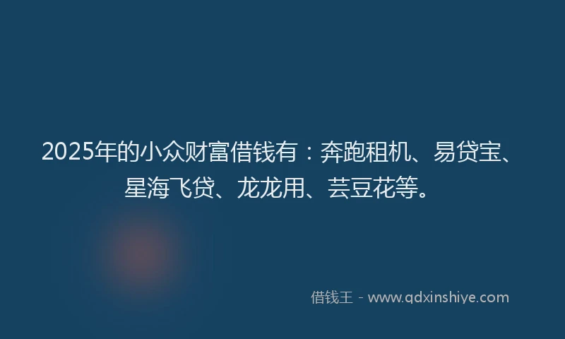 2025年的小众财富借钱有：奔跑租机、易贷宝、星海飞贷、龙龙用、芸豆花等。