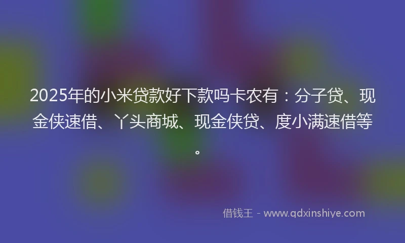 2025年的小米贷款好下款吗卡农有：分子贷、现金侠速借、丫头商城、现金侠贷、度小满速借等。