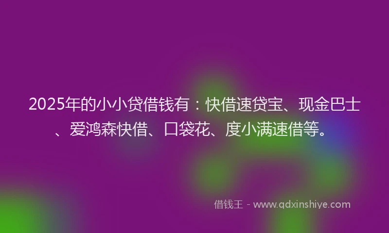 2025年的小小贷借钱有：快借速贷宝、现金巴士、爱鸿森快借、口袋花、度小满速借等。