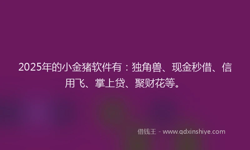 2025年的小金猪软件有：独角兽、现金秒借、信用飞、掌上贷、聚财花等。