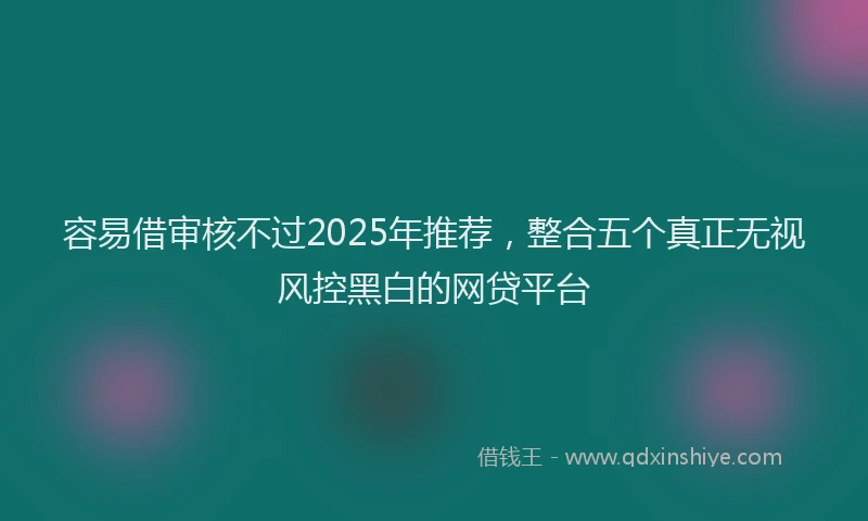 容易借审核不过2025年推荐，整合五个真正无视风控黑白的网贷平台