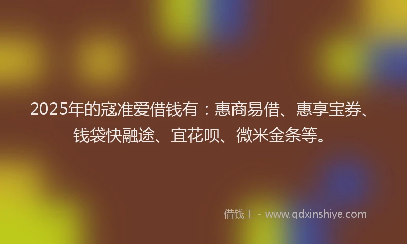 2025年的寇准爱借钱有：惠商易借、惠享宝券、钱袋快融途、宜花呗、微米金条等。