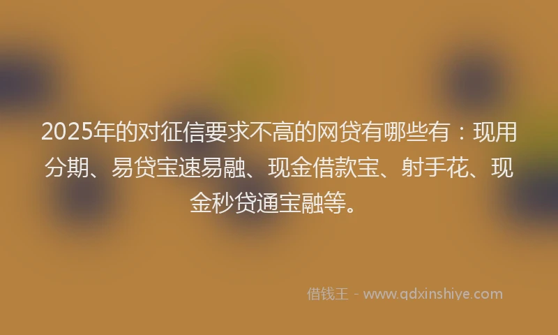 2025年的对征信要求不高的网贷有哪些有：现用分期、易贷宝速易融、现金借款宝、射手花、现金秒贷通宝融等。