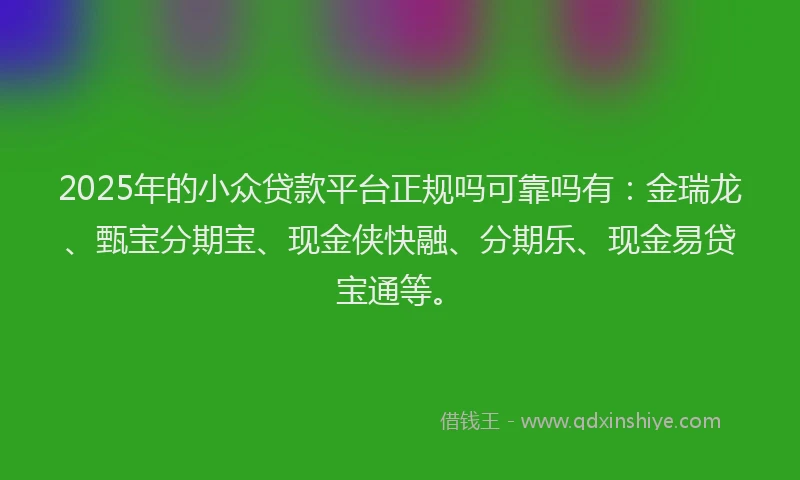 2025年的小众贷款平台正规吗可靠吗有：金瑞龙、甄宝分期宝、现金侠快融、分期乐、现金易贷宝通等。