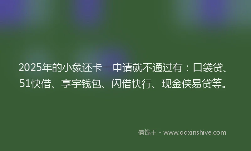 2025年的小象还卡一申请就不通过有：口袋贷、51快借、享宇钱包、闪借快行、现金侠易贷等。