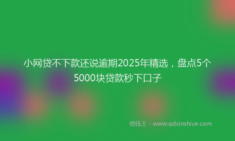小网贷不下款还说逾期2025年精选，盘点5个5000块贷款秒下口子