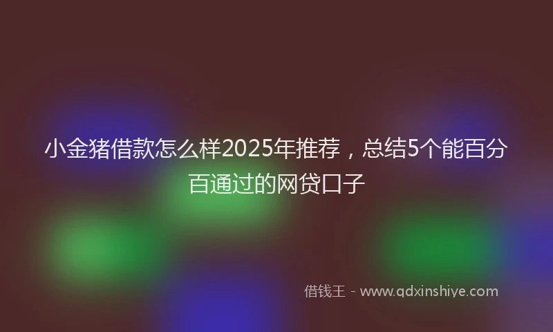 小金猪借款怎么样2025年推荐，总结5个能百分百通过的网贷口子