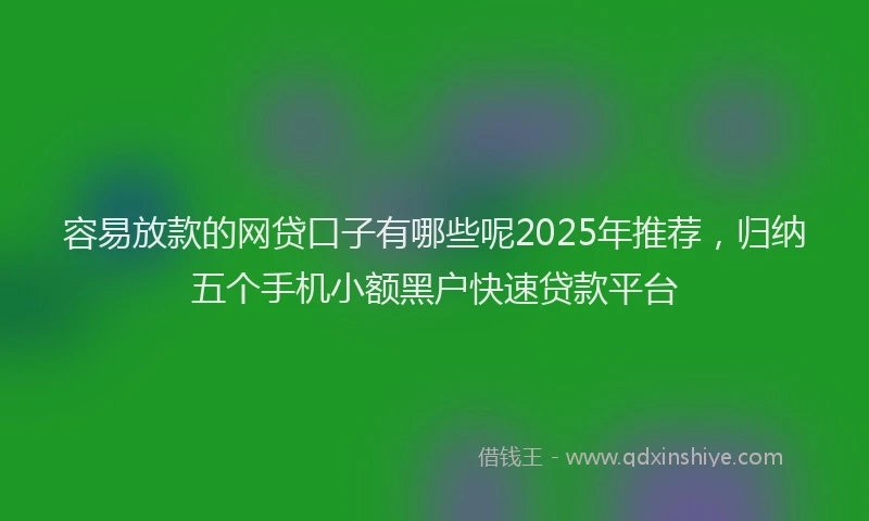 容易放款的网贷口子有哪些呢2025年推荐，归纳五个手机小额黑户快速贷款平台