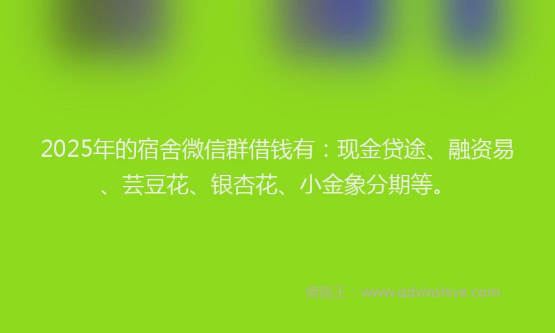 2025年的宿舍微信群借钱有：现金贷途、融资易、芸豆花、银杏花、小金象分期等。