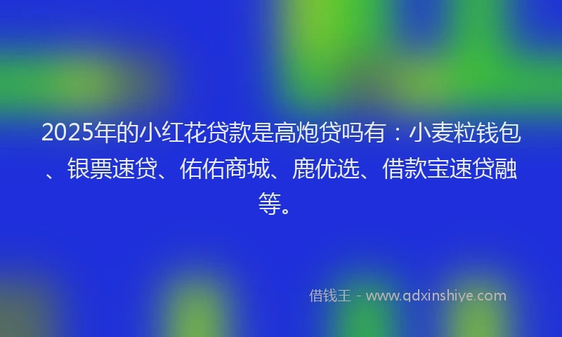 2025年的小红花贷款是高炮贷吗有：小麦粒钱包、银票速贷、佑佑商城、鹿优选、借款宝速贷融等。