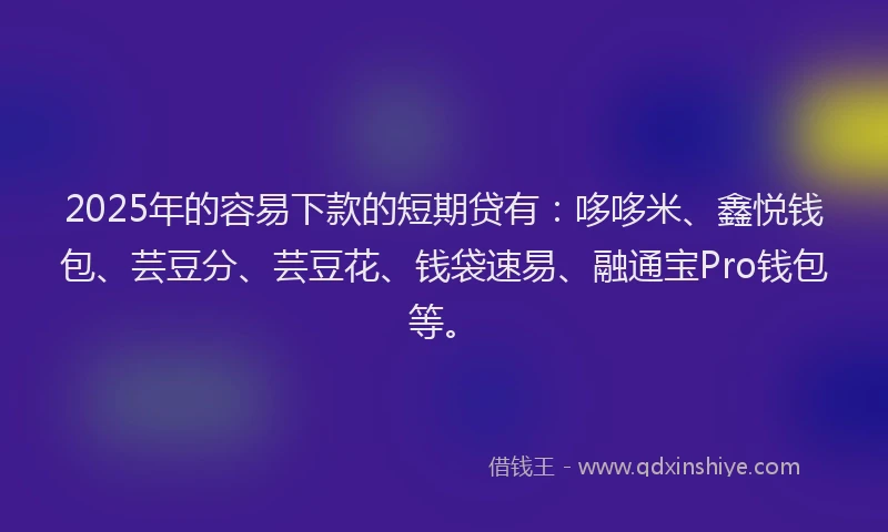 2025年的容易下款的短期贷有：哆哆米、鑫悦钱包、芸豆分、芸豆花、钱袋速易、融通宝Pro钱包等。