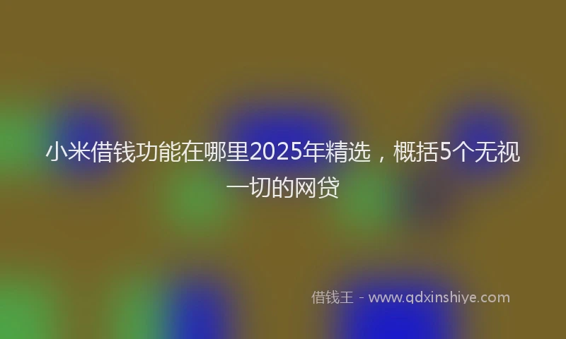 小米借钱功能在哪里2025年精选，概括5个无视一切的网贷