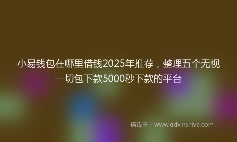 小易钱包在哪里借钱2025年推荐，整理五个无视一切包下款5000秒下款的平台