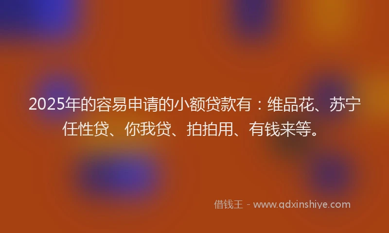 2025年的容易申请的小额贷款有：维品花、苏宁任性贷、你我贷、拍拍用、有钱来等。