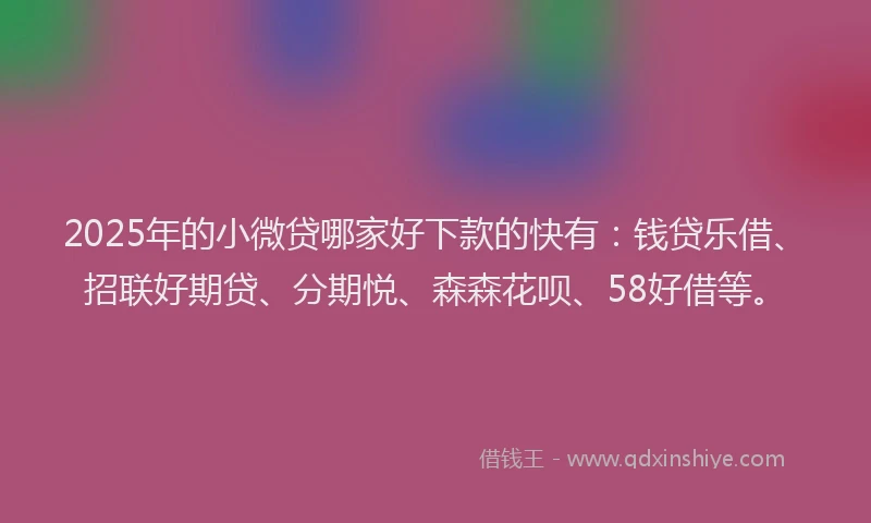 2025年的小微贷哪家好下款的快有：钱贷乐借、招联好期贷、分期悦、森森花呗、58好借等。