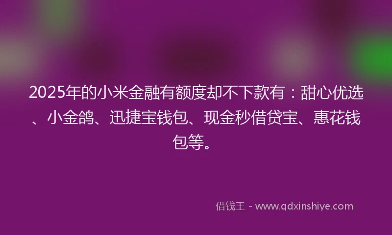 2025年的小米金融有额度却不下款有：甜心优选、小金鸽、迅捷宝钱包、现金秒借贷宝、惠花钱包等。