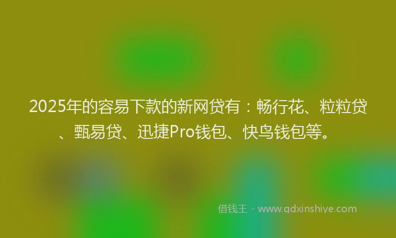 2025年的容易下款的新网贷有：畅行花、粒粒贷、甄易贷、迅捷Pro钱包、快鸟钱包等。