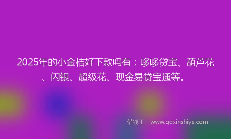 2025年的小金桔好下款吗有：哆哆贷宝、葫芦花、闪银、超级花、现金易贷宝通等。