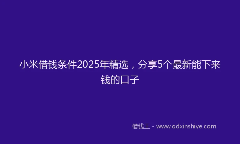 小米借钱条件2025年精选，分享5个最新能下来钱的口子