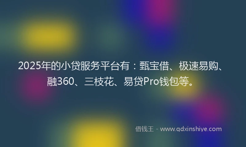 2025年的小贷服务平台有：甄宝借、极速易购、融360、三枝花、易贷Pro钱包等。