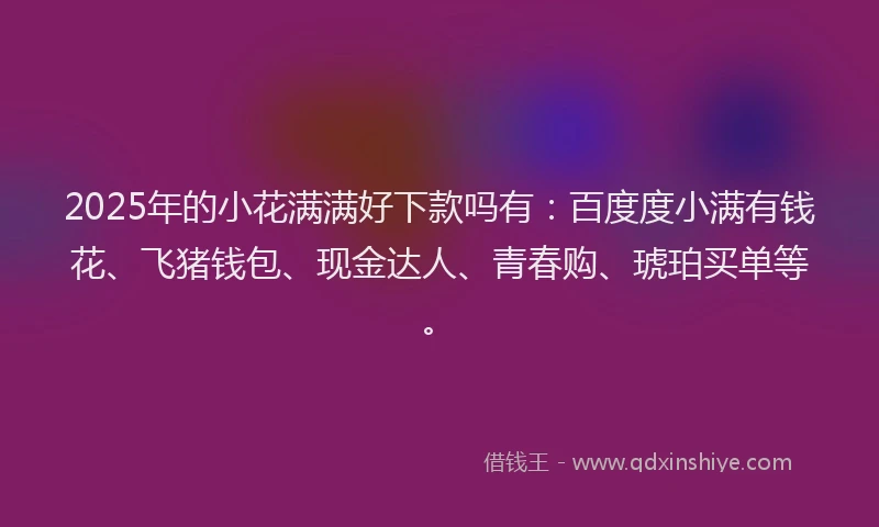 2025年的小花满满好下款吗有：百度度小满有钱花、飞猪钱包、现金达人、青春购、琥珀买单等。