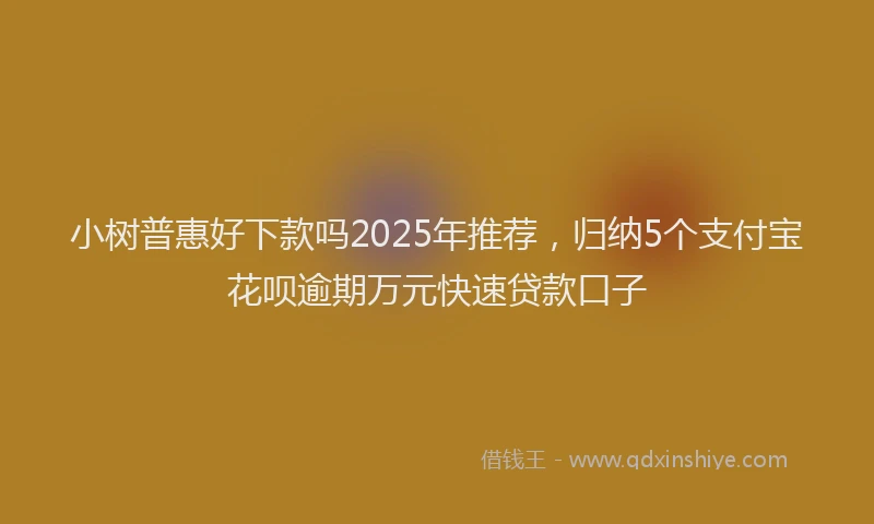 小树普惠好下款吗2025年推荐，归纳5个支付宝花呗逾期万元快速贷款口子