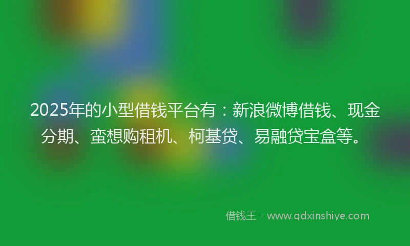 2025年的小型借钱平台有：新浪微博借钱、现金分期、蛮想购租机、柯基贷、易融贷宝盒等。