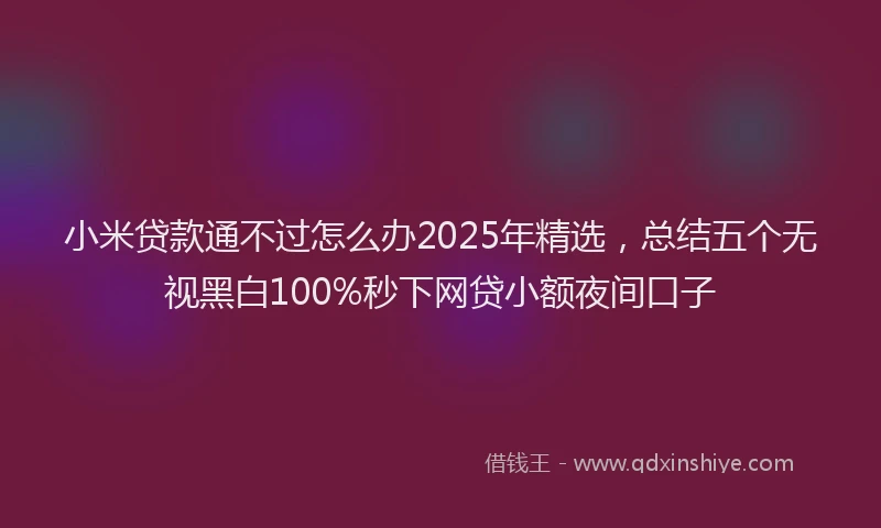 小米贷款通不过怎么办2025年精选，总结五个无视黑白100%秒下网贷小额夜间口子