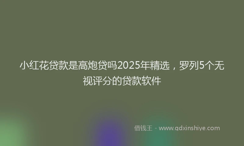 小红花贷款是高炮贷吗2025年精选，罗列5个无视评分的贷款软件