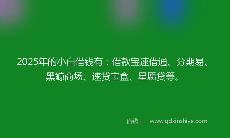 2025年的小白借钱有：借款宝速借通、分期易、黑鲸商场、速贷宝盒、星愿贷等。