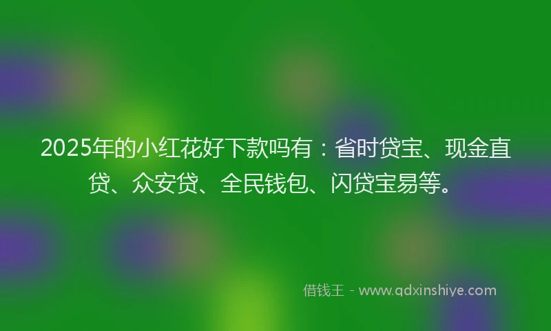 2025年的小红花好下款吗有：省时贷宝、现金直贷、众安贷、全民钱包、闪贷宝易等。