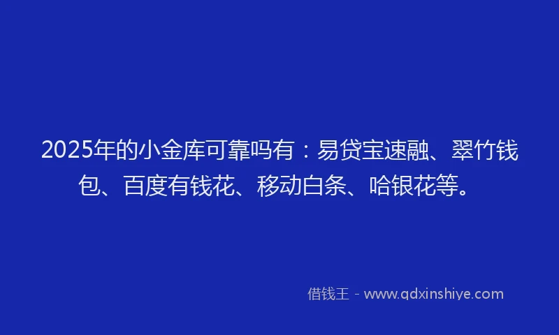 2025年的小金库可靠吗有：易贷宝速融、翠竹钱包、百度有钱花、移动白条、哈银花等。